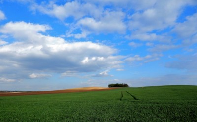Doma