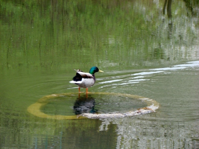 Připraven k odletu