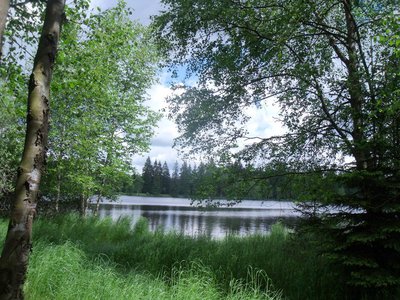 Kladský rybník