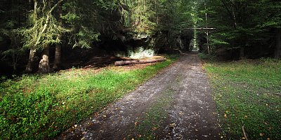 Brána
