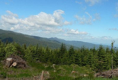 Šumava