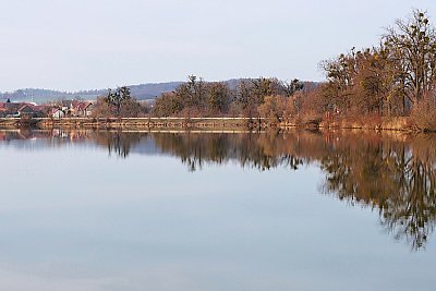 Křivoš