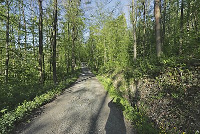 Zdravím