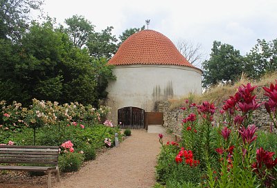 A s rotundou