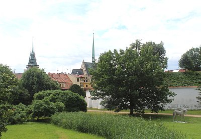 Koník