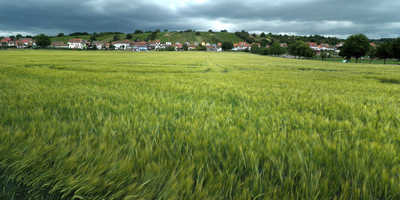 Morava