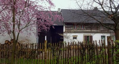 Na Kokořínsku (6)