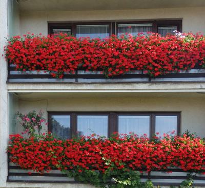Náš balkon