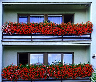 Naše balkony...
