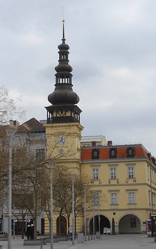 Muzeum