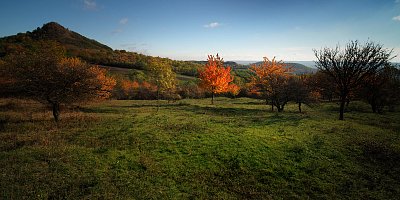 Barva