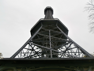 Ocelová kráska