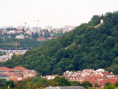 NZM 3