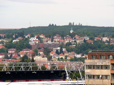 NZM 18