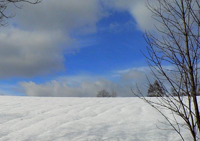 Zimní krajina