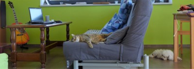 Odpolední siesta