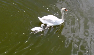 Jezero