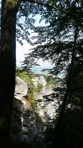 Skály