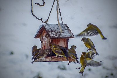 P1260042-1-.JPG