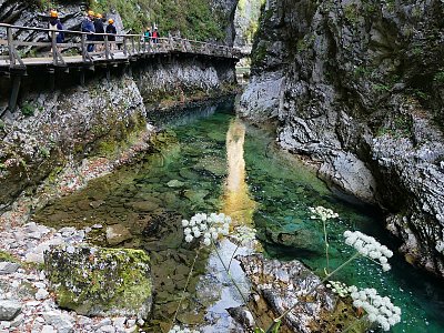 Vintgar – soutěska smaragdové řeky u Bledu