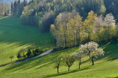 Valašské kotáry.