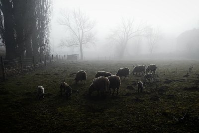 Jak na blatech.....