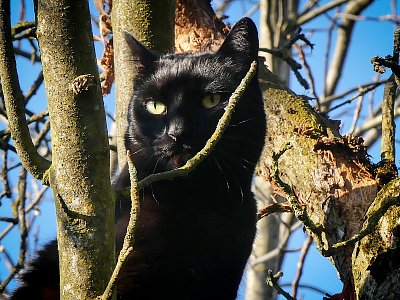Agent 007....*