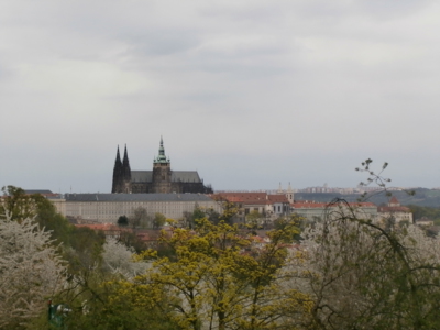 Pražský hrad a jaro na Petříně