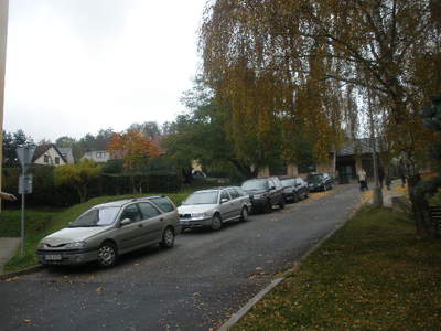 Auta