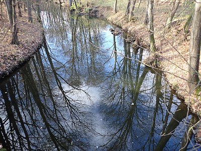 řeka Doubravka
