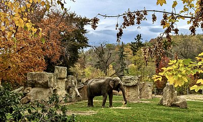 Podzim v ZOO