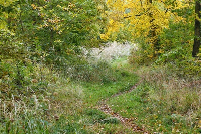 Pěšinka