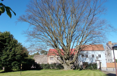 Smutný