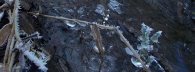 Sázava čaruje