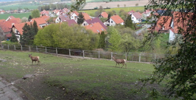 Počkej ....