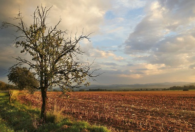 Podvečer
