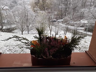 Pohled z okna