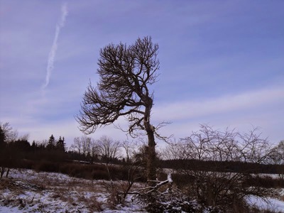 Příroda - listopad
