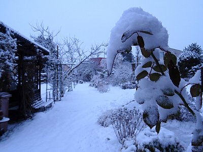 Ráno 25.11