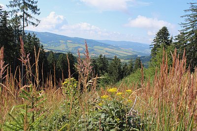 Pohled na Slovensko