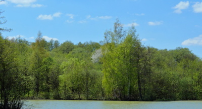 Krásné jaro
