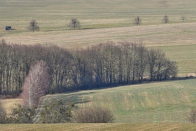 Předjaří
