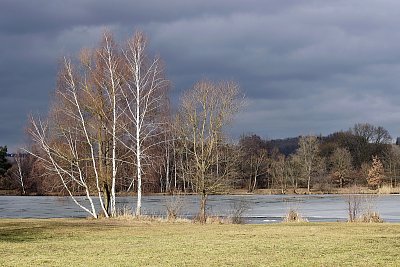 Bžízky