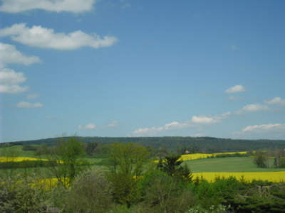 Zelenožlutá