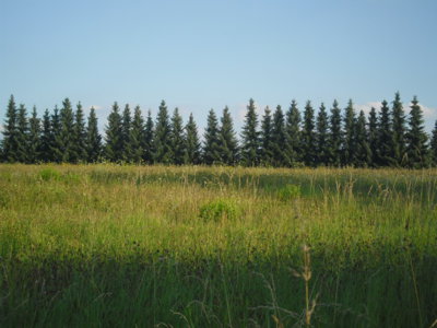 Letní romance