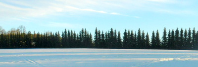 Podvečerní