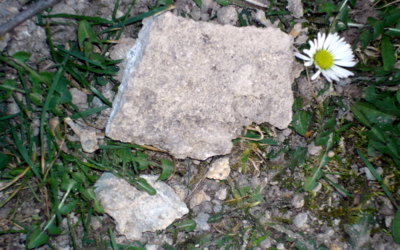 V přesile