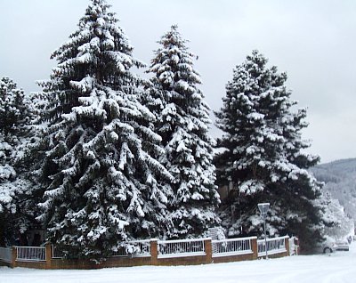 SDC10031-2.JPG