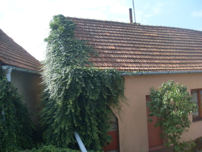 Domek v kožichu...