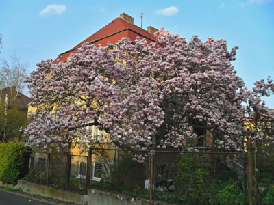 pozdrav jara